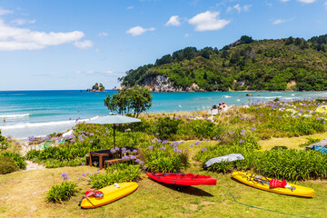 View of Whangamata beach in New Zealand