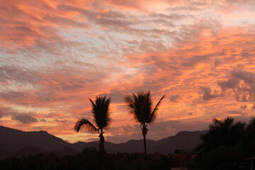 Hermoso atardecer, con siluetas de palmas bajo su manto.