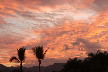 Hermoso atardecer, con siluetas de palmas bajo su manto.