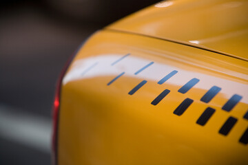 graphic detail on New York City Yellow Cab