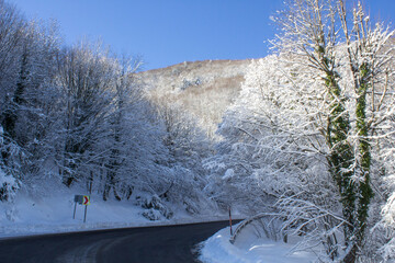 winter landscape with trees and snow. Snowy mountain roads