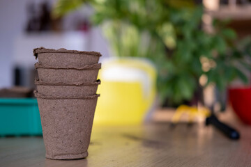 Planting seedlings in peat pots. Eco-friendly cultivation of plants at home, land for planting...