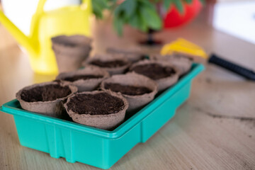 Planting seedlings in peat pots. Eco-friendly cultivation of plants at home, land for planting...