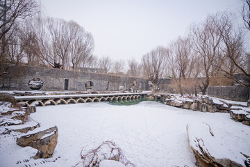 winter garden snow road holiday