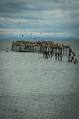 Muelle Historico Punta Arenas