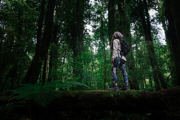 Aventura en La naturaleza 