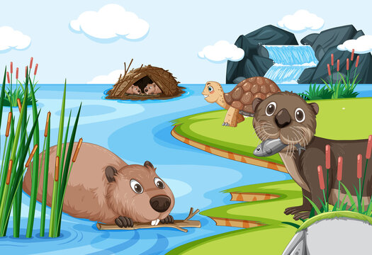 An otter with beavers and a tortoise in the forest background