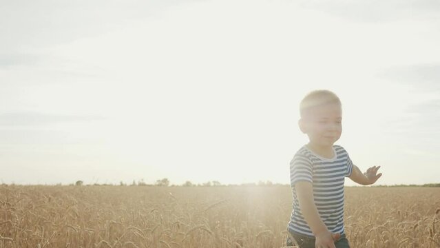 boy run across a wheat field in the park. happy family kid dream concept. boy running across a yellow field in the park. kid son run dream fun. happy family and childhood concept