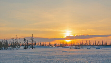 Sunset of the polar day in the north. Landscape with forest on the horizon and snow-covered space in the foreground. Cloud crosses the solar disk