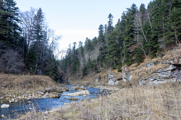 autumn morning, walking along the bed of a mountain river that has become shallow by the beginning...