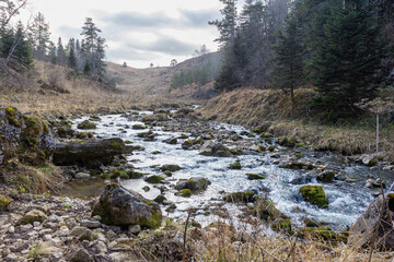 autumn morning, walking along the bed of a mountain river that has become shallow by the beginning...