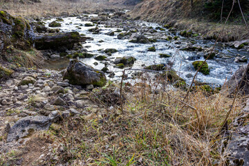 autumn morning, walking along the bed of a mountain river that has become shallow by the beginning of the winter period and exposing its rocky bottom.