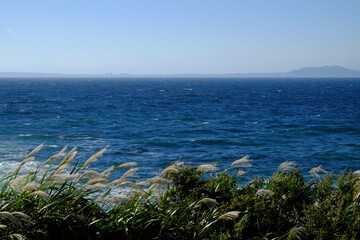 強い風とススキと海と荒波