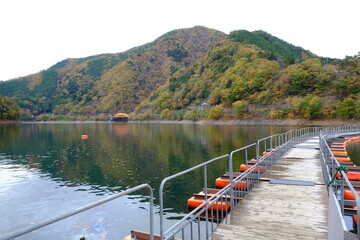 奥多摩湖のドラム缶橋と紅葉