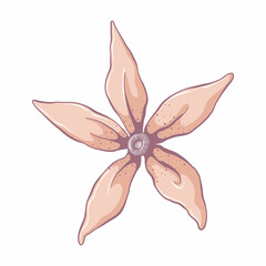 Single yellow flower. Flower head isolated on white background. Hand drawn floral illustration. Botanical vector art in cartoon style.