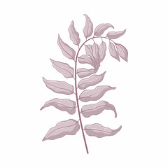 Single grey branch with leaves. Leaves isolated on white background. Hand drawn botanic illustration. Botanical vector art in cartoon style.