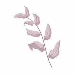 Fototapeta na wymiar Single grey branch with leaves. Leaves isolated on white background. Hand drawn botanic illustration. Botanical vector art in cartoon style.
