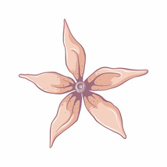 Single yellow flower. Flower head isolated on white background. Hand drawn floral illustration. Botanical vector art in cartoon style.