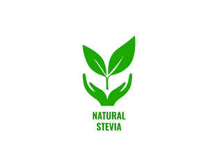 Fototapeta premium natural stevia icon vector illustration 