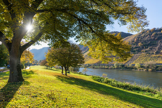 Mosellandschaft im Herbst