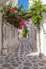 Fototapeta na wymiar Traditional Cycladitic alley with narrow street, whitewashed houses and a blooming bougainvillea flowers in parikia, Paros island, Greece.