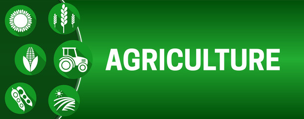 Agriculture Illustration Background