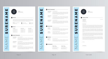 Professional Resume/CV and Cover Letter Template