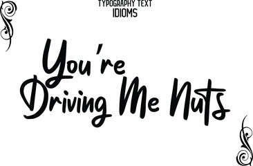You’re Driving Me Nuts idiom Typography Lettering Phrase on White Background