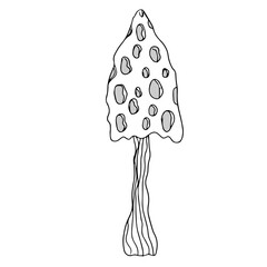Mystical drawing. Fly agaric mushroom sketch. Black and white.