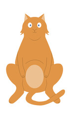 Funny cat sitting watching what is happening around. A pet.