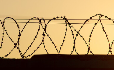 Barbed wire on a fence