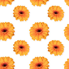 Seamless pattern with flowers on a white background. Gerbera orange