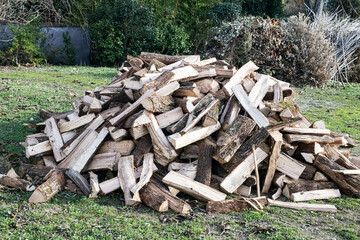 pile of firewood
