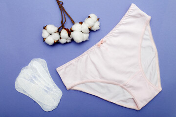 women's briefs with cotton and panty liners . hygiene and women's health care concept