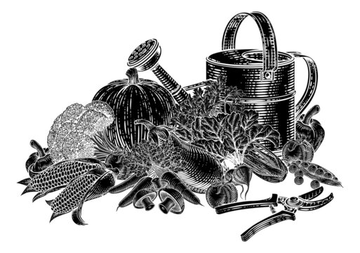 recommend clip art: Gardening Tools Vegetables Produce Vintage Woodcut