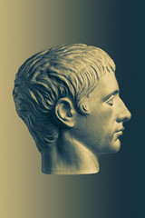 Bronze color gypsum copy of ancient statue of Germanicus Julius Caesar head for artists on brass...