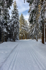 Eine weitere Winterwanderung entlang des Rennsteigs im schönsten Winterwunderland - Deutschland
