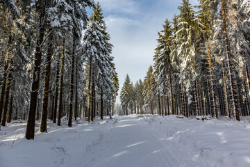 Naklejka premium Eine weitere Winterwanderung entlang des Rennsteigs im schönsten Winterwunderland - Deutschland