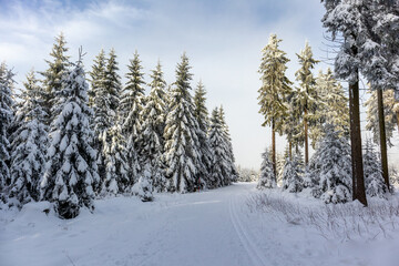 Eine weitere Winterwanderung entlang des Rennsteigs im schönsten Winterwunderland - Deutschland