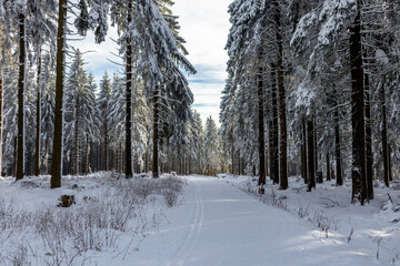 Eine weitere Winterwanderung entlang des Rennsteigs im schönsten Winterwunderland - Deutschland