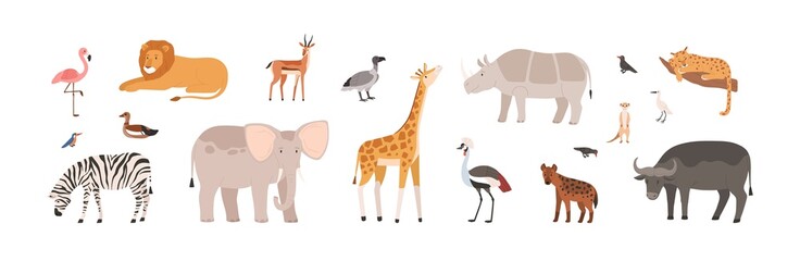 African animals, birds set. Wild jungle fauna. Cute tropical giraffe, elephant, buffalo, lion, flamingo, rhino and zebra from Africa savanna. Flat vector illustration isolated on white background