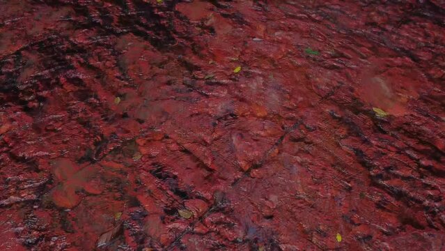 Frontal traveling shot of the waters of a river passing over an entire surface of a stone called Jasper, located in the Gran Sabana in Venezuela