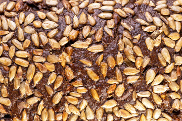 closeup macro detail of blank brown bread texture background