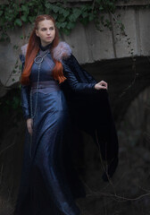 queen of the north.princess in the fantasy land of game of thrones