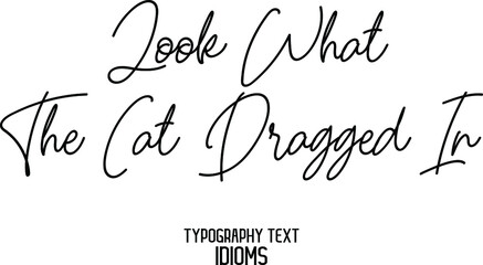 Look What the Cat Dragged In Typography idiom