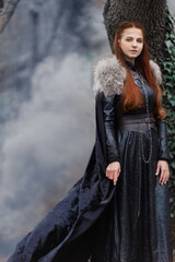 queen of the north.princess in the fantasy land of game of thrones