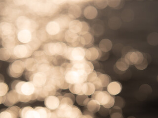 朝の水面の輝き