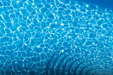 プールの水面