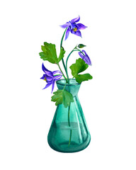 Bouquet of purple flowers in Bohemian glass bottle in watercolor illustration