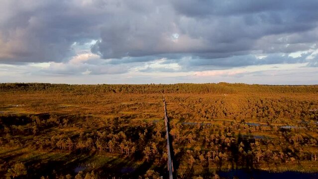 Cloudy sunset in Endla bog in Estonia. Drone aerial rising up.
